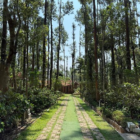 Coffee Grove Resort Chikmagalūr Εξωτερικό φωτογραφία