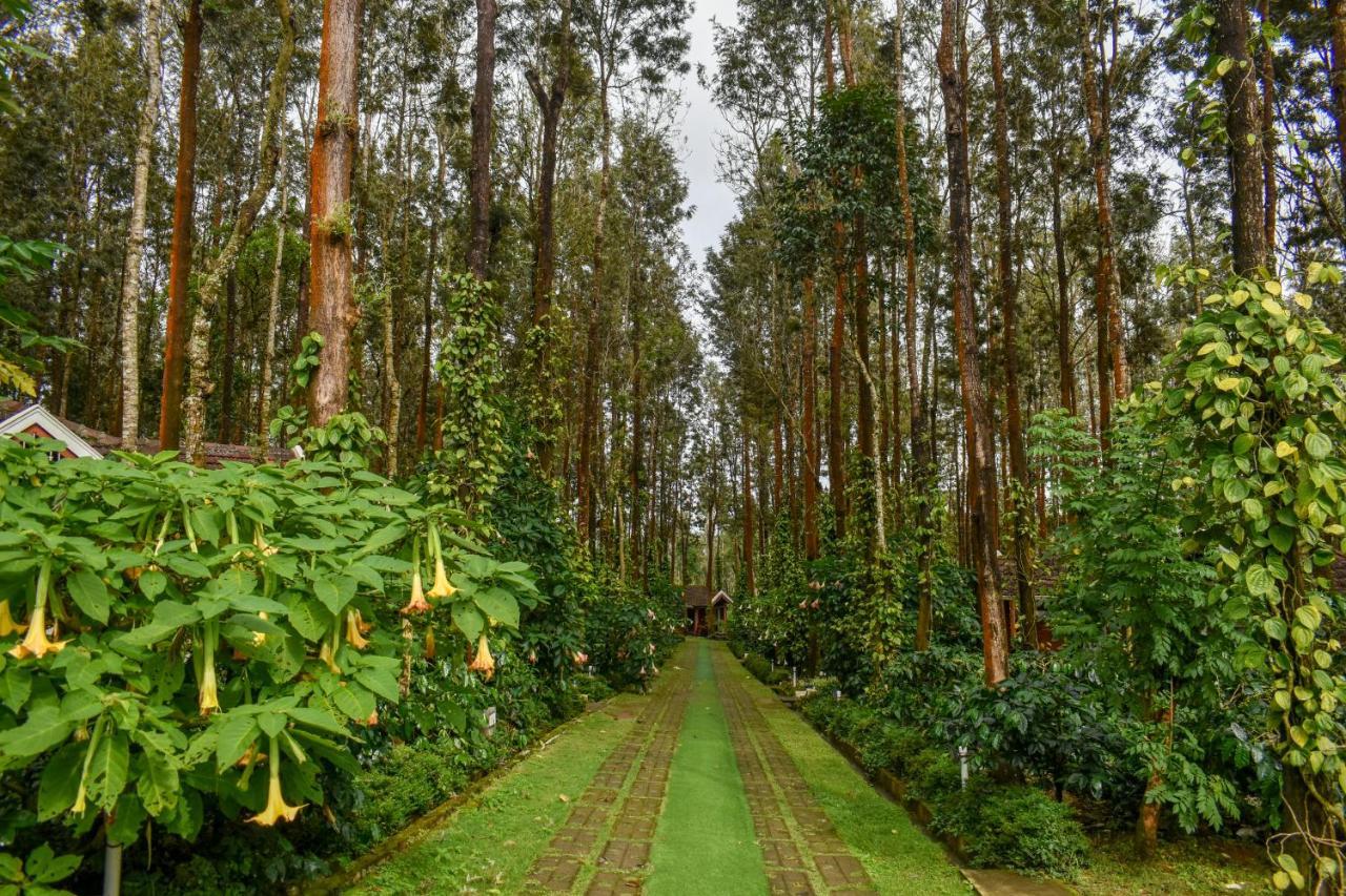 Coffee Grove Resort Chikmagalūr Εξωτερικό φωτογραφία