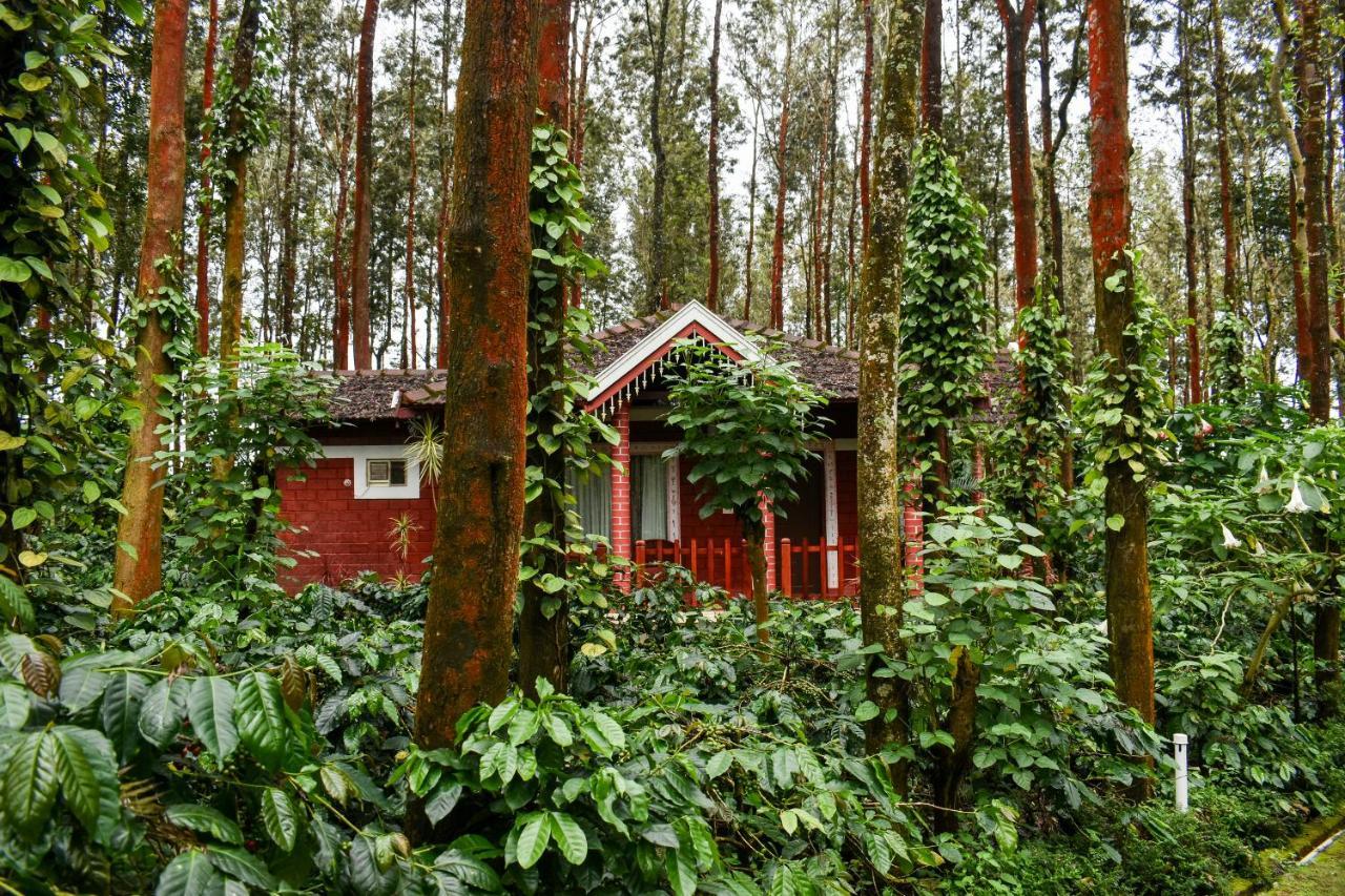 Coffee Grove Resort Chikmagalūr Εξωτερικό φωτογραφία
