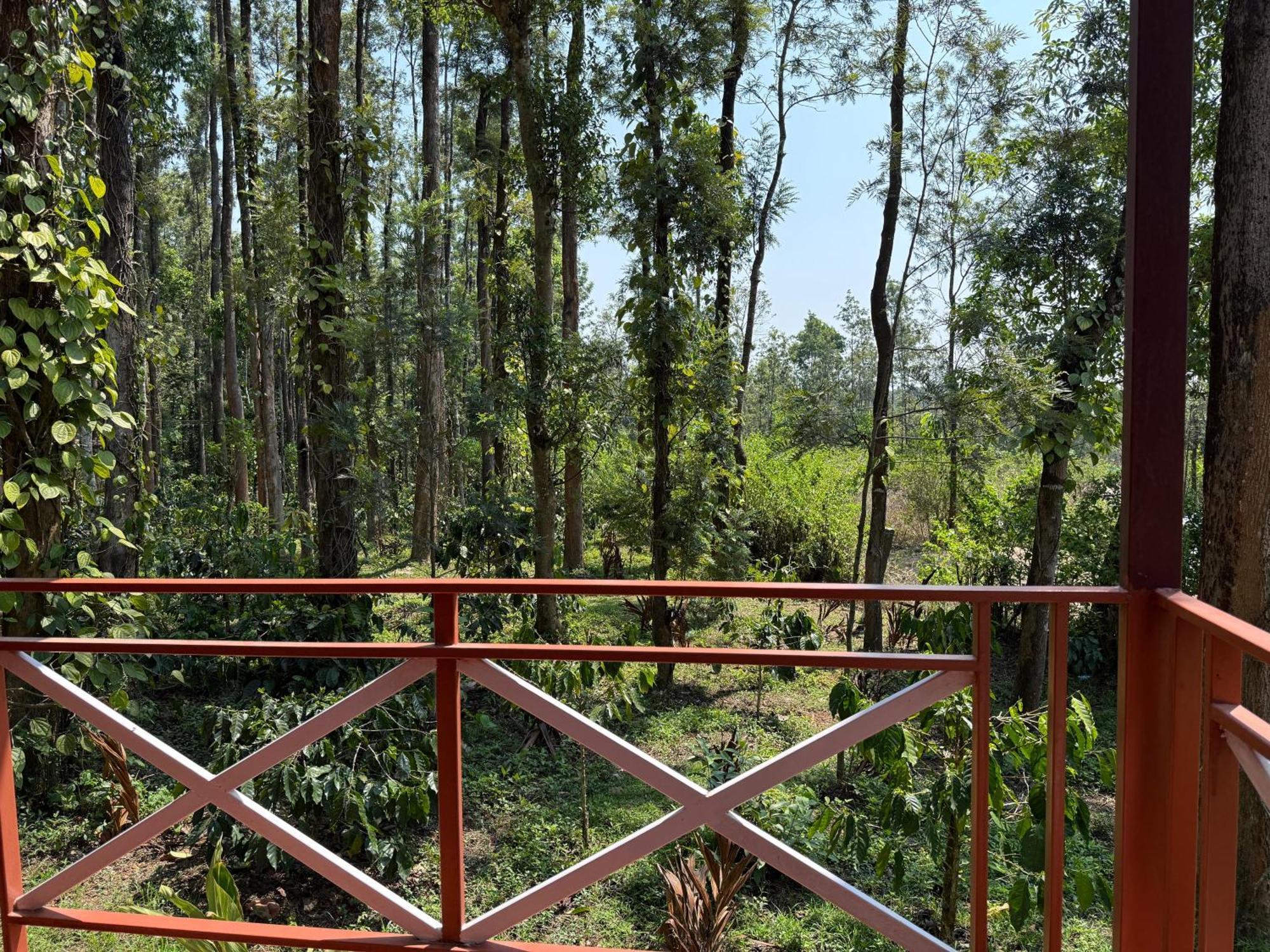 Coffee Grove Resort Chikmagalūr Εξωτερικό φωτογραφία