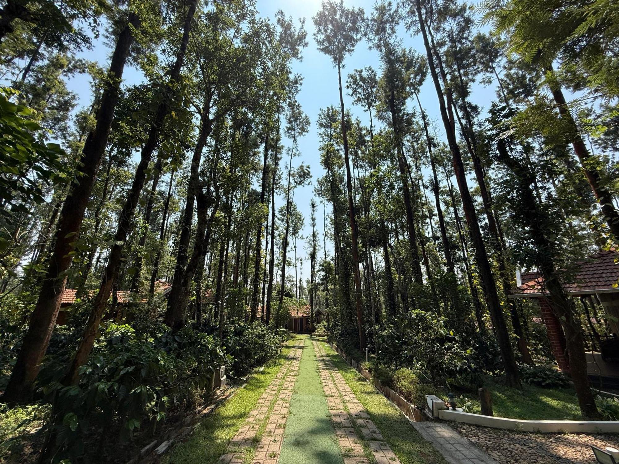 Coffee Grove Resort Chikmagalūr Εξωτερικό φωτογραφία
