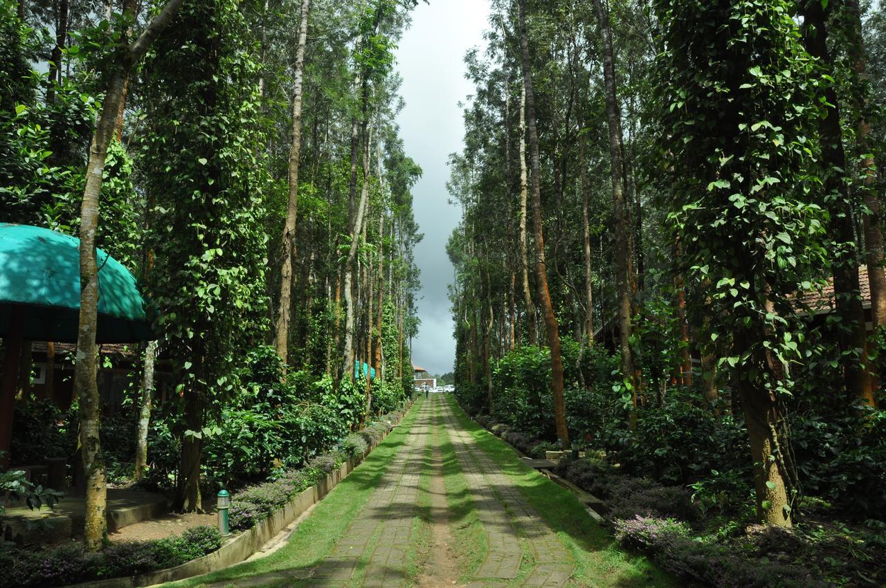 Coffee Grove Resort Chikmagalūr Εξωτερικό φωτογραφία
